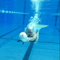 Mathilda Hannes beim Schwimmen mit Drucklufttauchgeraet
